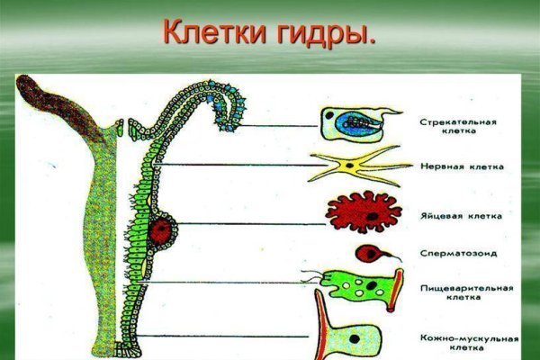 Ссылка на кракен официальный